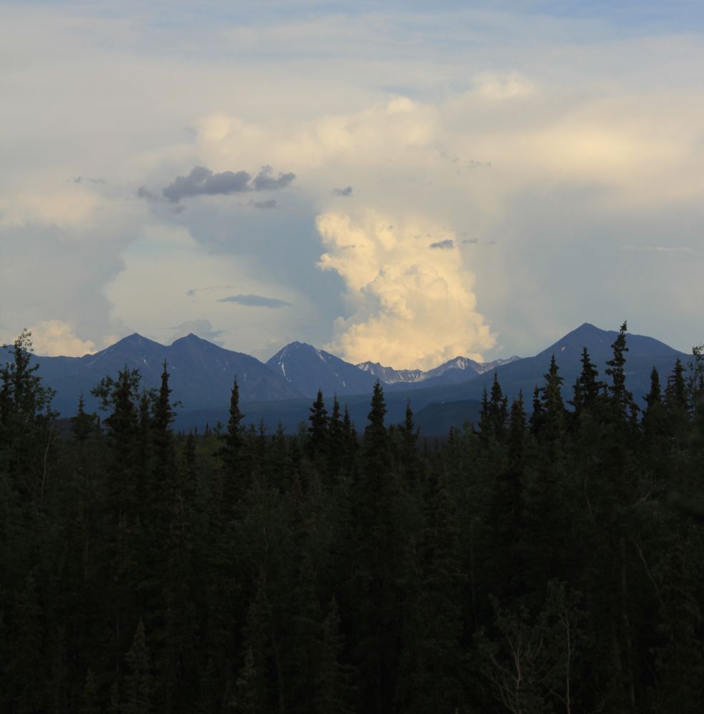 Outlook